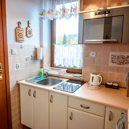 Apartment Sun & Snow Kraszewskiego Krynica Zdroj